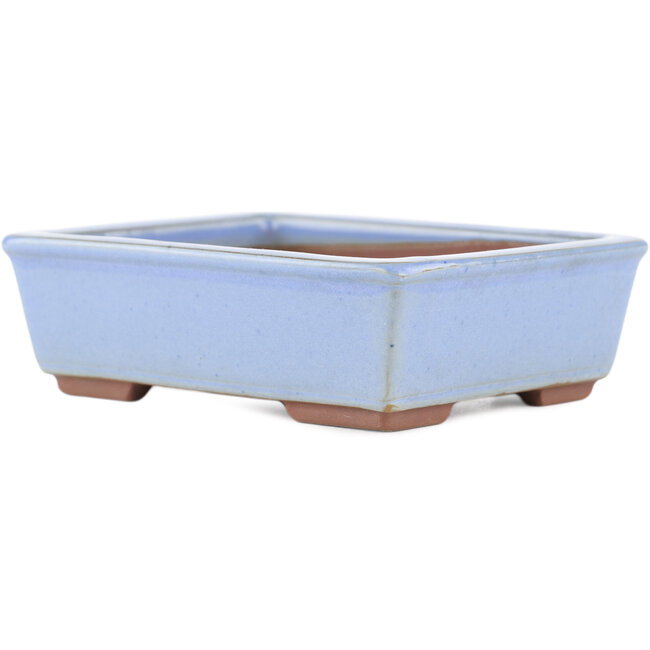 Maceta rectangular azul para bonsái de Bunzan (Seto) - 122 x 97 x 37 mm