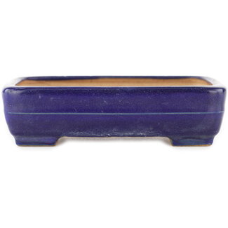  Yamafusa - Takehiko Koie Maceta rectangular azul para bonsái de 135 mm de Yamafusa, Tokoname, Japón