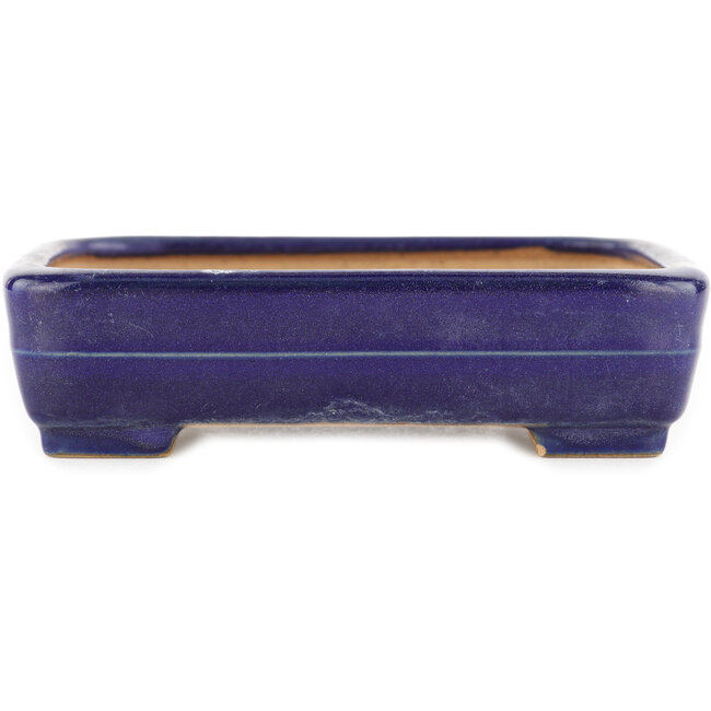 Maceta rectangular azul para bonsái de Yamafusa - 135 x 110 x 35 mm