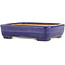 Rectangular blue bonsai pot by Yamafusa - 135 x 110 x 35 mm