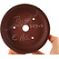 Pot à bonsaï rond non émaillé de Bigei - 120 x 120 x 35 mm