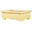Maceta rectangular beige para bonsái de Tokoname - 115 x 75 x 37 mm
