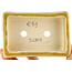 Maceta rectangular beige para bonsái de Tokoname - 115 x 75 x 37 mm