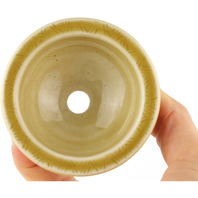 Vaso bonsai tondo beige di Tokoname - 69 x 69 x 35 mm