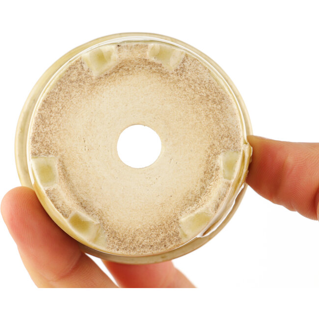 Pot à bonsaï rond beige de Tokoname - 60 x 60 x 30 mm