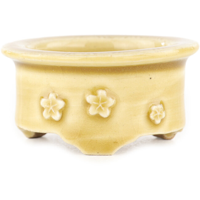 Maceta redonda beige para bonsái de Tokoname - 75 x 75 x 28 mm