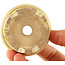 Maceta redonda beige para bonsái de Tokoname - 75 x 75 x 28 mm