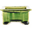 Maceta rectangular verde para bonsái de Tokoname - 117 x 76 x 39 mm