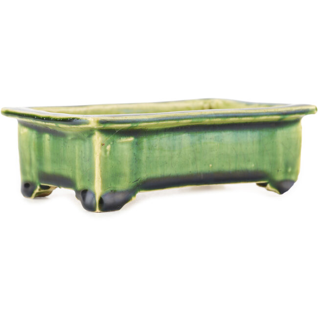 Pot à bonsaï rectangulaire vert de Tokoname - 117 x 76 x 39 mm