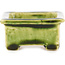 Pot à bonsaï rectangulaire vert de Tokoname - 72 x 55 x 27 mm