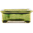 Maceta rectangular verde para bonsái de Tokoname - 72 x 55 x 27 mm