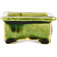 Pot à bonsaï rectangulaire vert de Tokoname - 72 x 55 x 27 mm