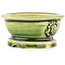 Round green bonsai pot by Tokoname - 65 x 65 x 33 mm