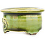 Pot à bonsaï rond vert de Tokoname - 57 x 57 x 32 mm