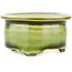Pot à bonsaï rond vert de Tokoname - 57 x 57 x 32 mm
