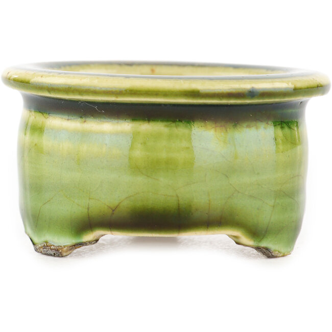 Runder grüner Bonsai-Topf von Tokoname - 57 x 57 x 32 mm