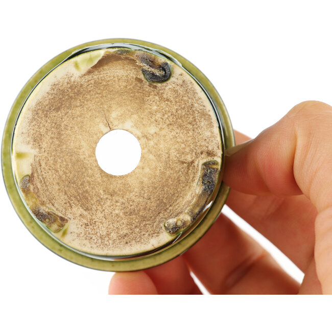 Pot à bonsaï rond vert de Tokoname - 57 x 57 x 32 mm