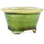 Round green bonsai pot by Tokoname - 56 x 56 x 33 mm