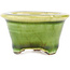 Pot à bonsaï rond vert de Tokoname - 56 x 56 x 33 mm