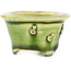 Round green bonsai pot by Tokoname - 56 x 56 x 33 mm