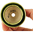 Pot à bonsaï rond vert de Tokoname - 56 x 56 x 33 mm