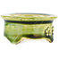 Round green bonsai pot by Tokoname - 55 x 55 x 25 mm