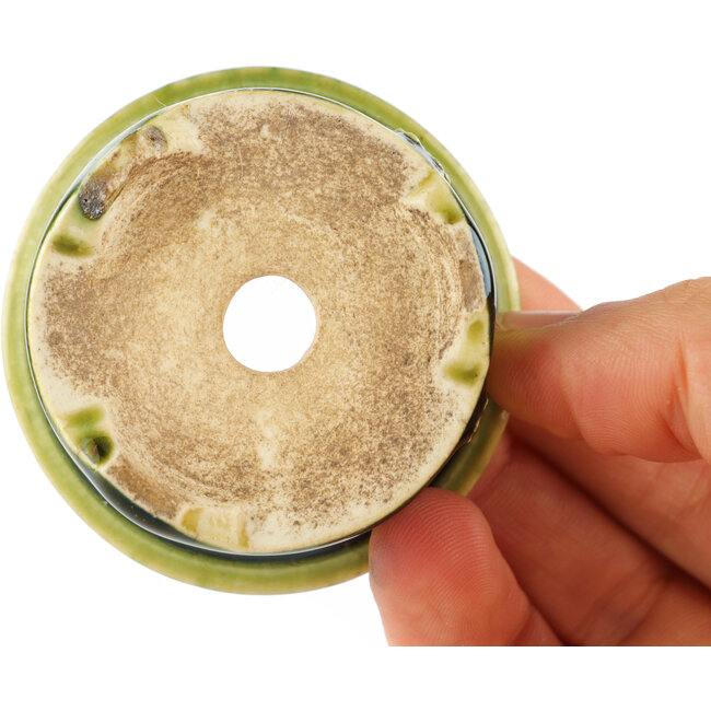 Pot à bonsaï rond vert de Tokoname - 55 x 55 x 25 mm