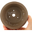 Round unglazed bonsai pot - 100 x 100 x 37 mm