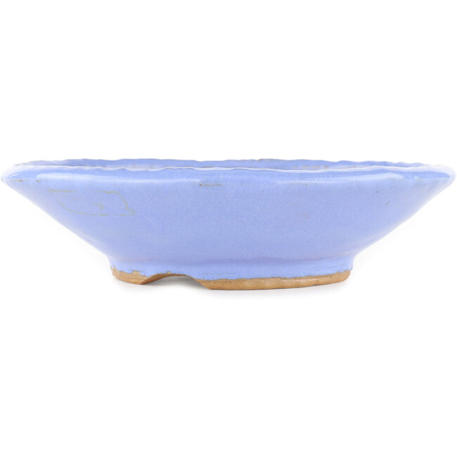 Ronde blauwe bonsai pot - 195 x 195 x 45 mm