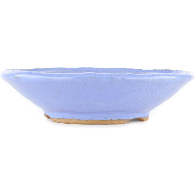 Maceta redonda azul para bonsái - 195 x 195 x 45 mm