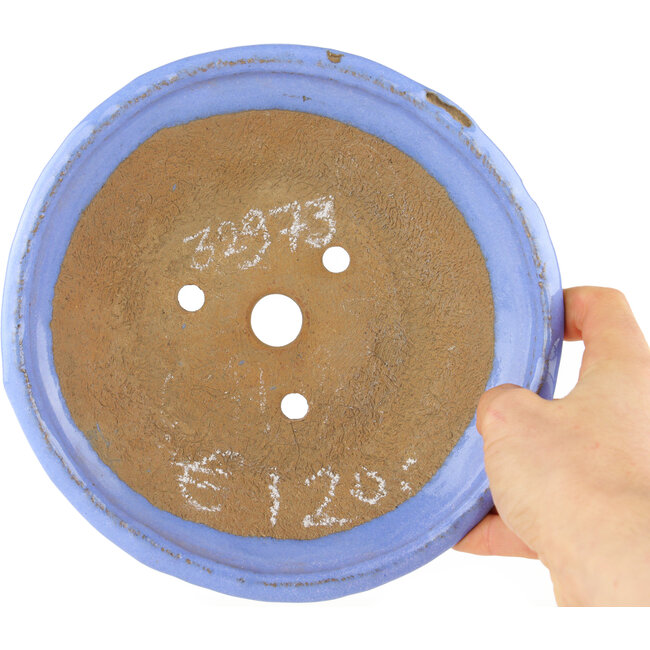 Maceta redonda azul para bonsái - 195 x 195 x 45 mm