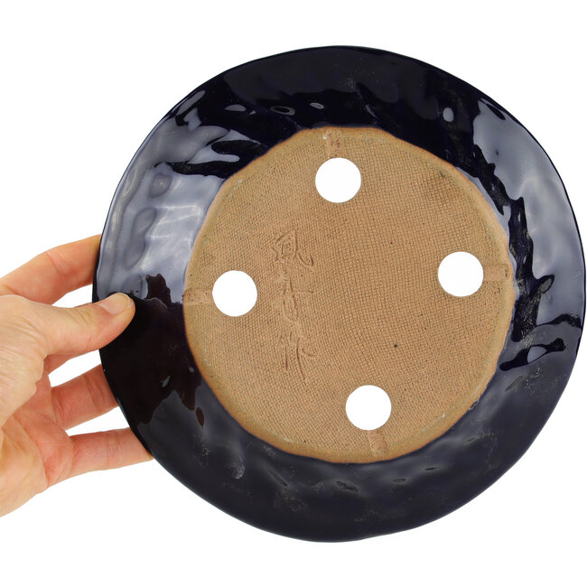 Pot à bonsaï rond bleu - 190 x 190 x 35 mm