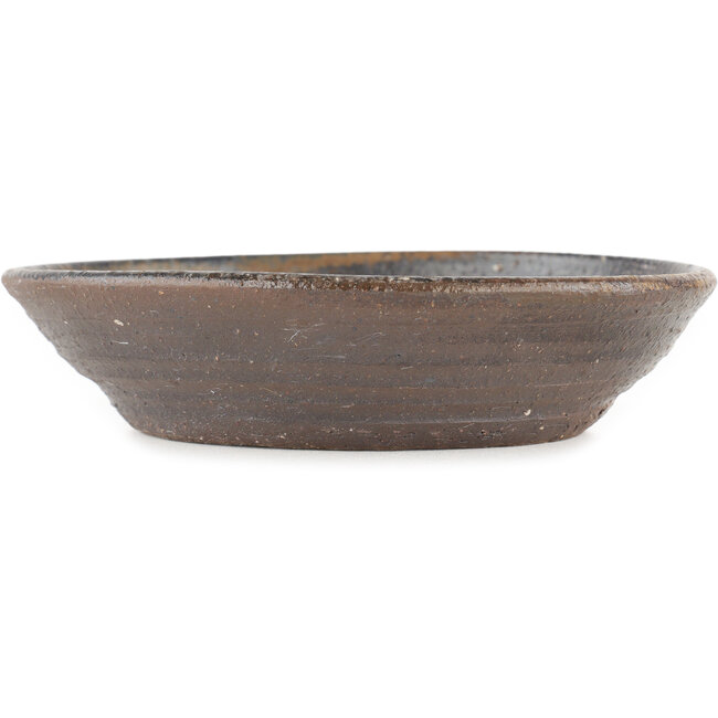 Pot à bonsaï rond marron - 155 x 155 x 35 mm
