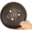 Ronde bruine bonsai pot - 155 x 155 x 35 mm
