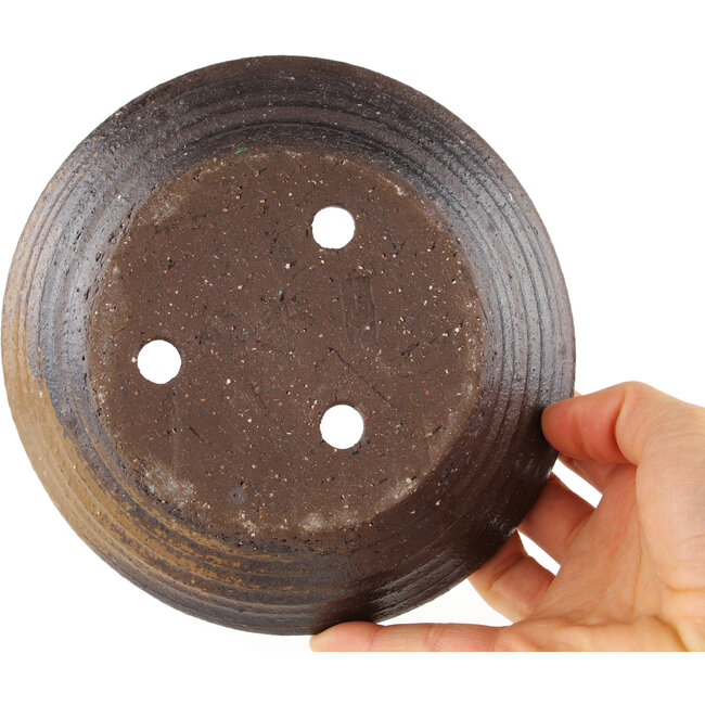 Pot à bonsaï rond marron - 155 x 155 x 35 mm