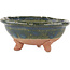 Pot à bonsaï rond vert - 95 x 95 x 45 mm