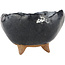 Ronde zwarte bonsai pot - 90 x 90 x 55 mm