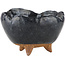 Pot à bonsaï rond noir - 90 x 90 x 55 mm
