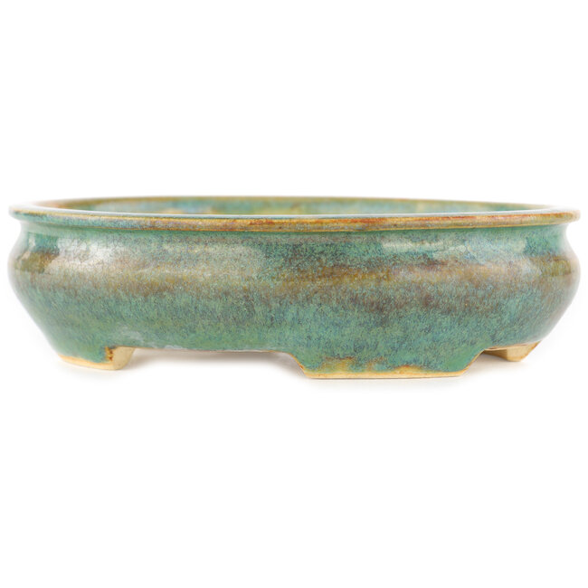 Pot à bonsaï ovale bleu et marron de Biko - 140 x 120 x 40 mm