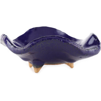  Hattori Tomoyuki Maceta cuadrada azul para bonsái de 75 mm de Hattori, Tokoname, Japón
