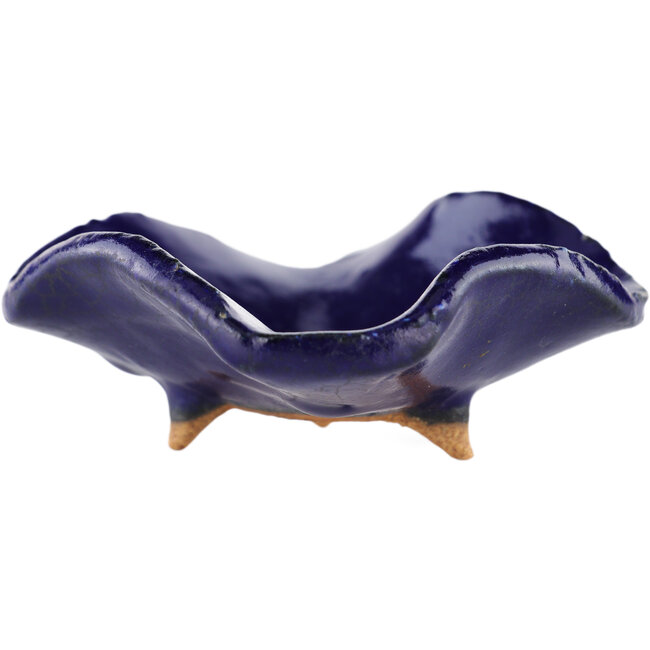 Vaso bonsai quadrato blu di Hattori - 75 x 70 x 30 mm