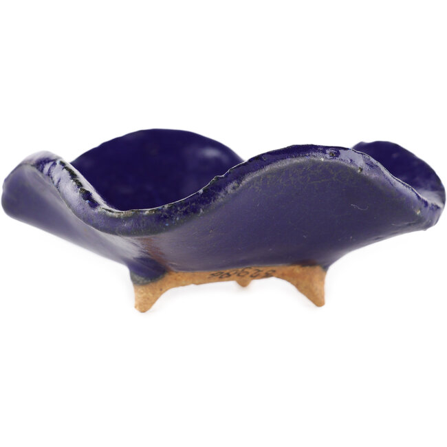 Square blue bonsai pot by Hattori - 75 x 70 x 30 mm