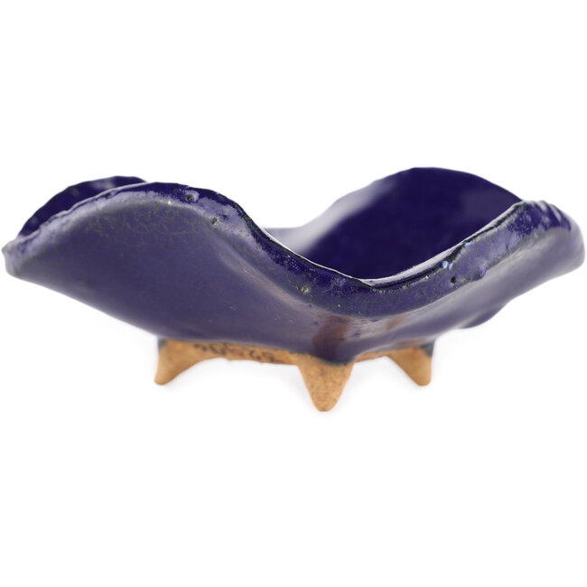 Square blue bonsai pot by Hattori - 75 x 70 x 30 mm