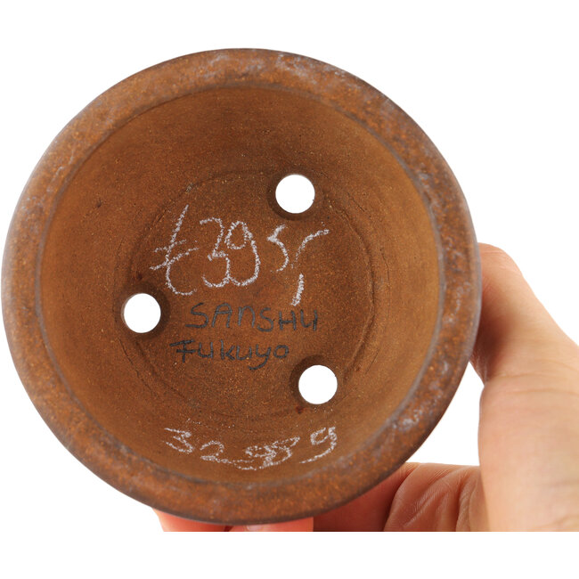 Maceta para bonsái redonda sin esmaltar de Sanshu Fukuyo - 95 x 95 x 40 mm