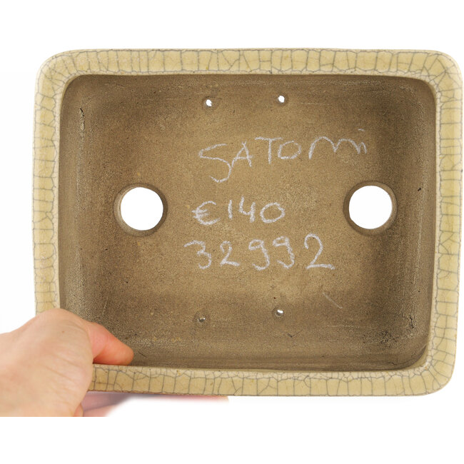 Rechthoekige witte craquelé bonsai pot van Terahata Satomi Mazan - 185 x 150 x 70 mm