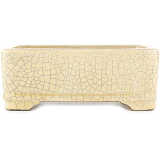  Satomi Mazan, Mazan Terahata 185 mm rectangular white craquelé bonsai pot by Terahata Satomi Mazan, Tokoname, Japan