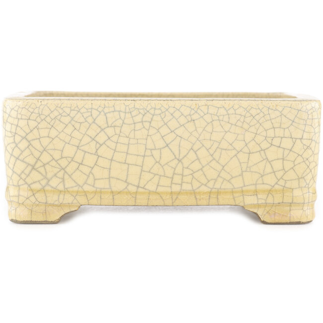 Rectangular white craquelé bonsai pot by Terahata Satomi Mazan - 185 x 150 x 70 mm