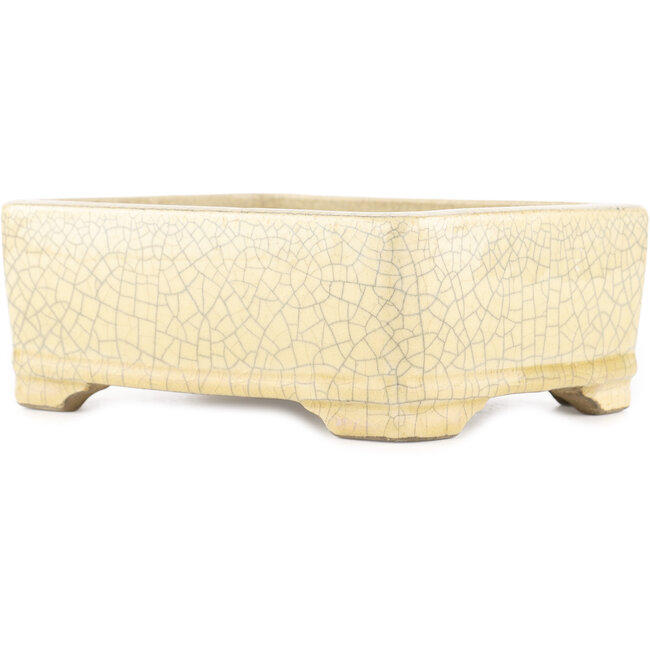 Rectangular white craquelé bonsai pot by Terahata Satomi Mazan - 185 x 150 x 70 mm