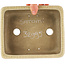 Maceta rectangular para bonsái con diseño craquelado blanco de Terahata Satomi Mazan - 185 x 150 x 70 mm