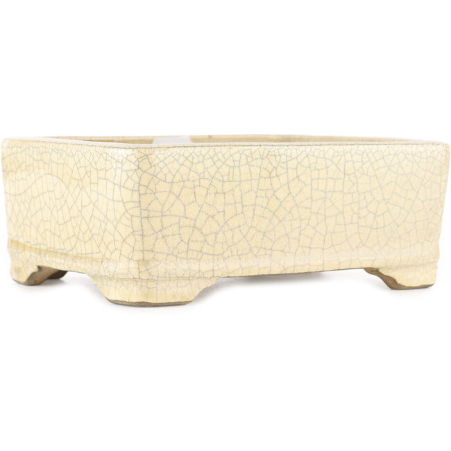 Rectangular white craquelé bonsai pot by Terahata Satomi Mazan - 185 x 150 x 70 mm